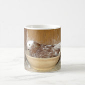 Pigeon dans sa tasse de cuvette de nid (Centre)