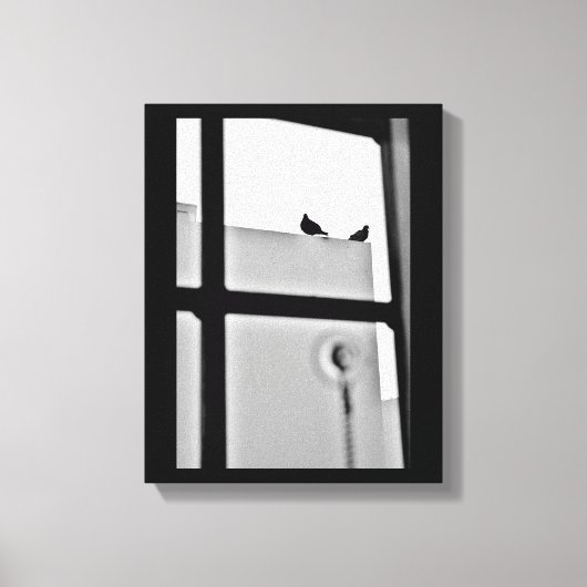 Pigeon Drama Canvas Afdruk (Voorkant)