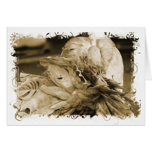 Pigeon fantastique (Devant horizontal)