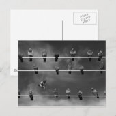 Pigeon Foosball Post Card Briefkaart (Voorkant / Achterkant)