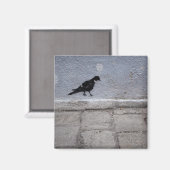 Pigeon Graffiti Magnet (Recto/Verso)