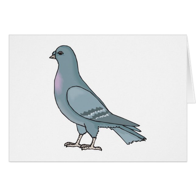 pigeon gris (Devant horizontal)