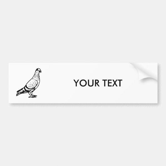 Pigeon Illustration Bumpersticker (Voorkant)