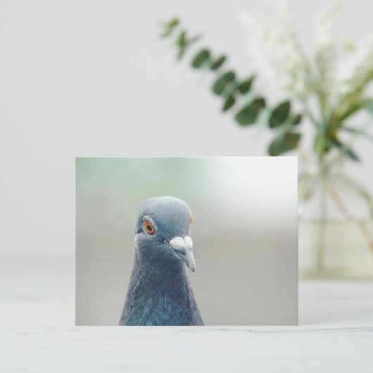 Pigeon in the Window v2 Briefkaart (Staand voorkant)