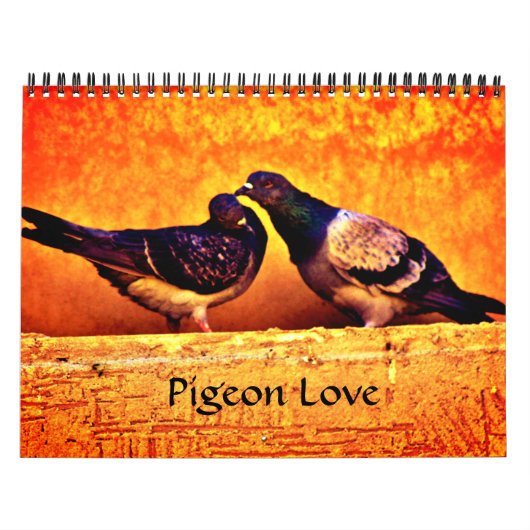 Pigeon Love Kalender (Hoes)