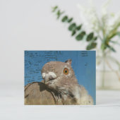 Pigeon named Mr. Pigeon Abstract Words Briefkaart (Staand voorkant)