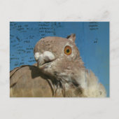 Pigeon named Mr. Pigeon Abstract Words Briefkaart (Voorkant)