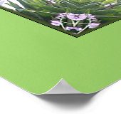 Pigeon Nest Poster (Hoek)