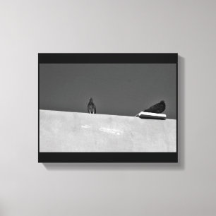 Pigeon Pair Canvas Afdruk