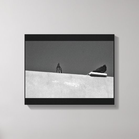 Pigeon Pair Canvas Afdruk (Voorkant)