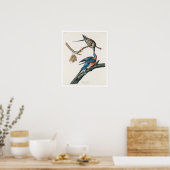 Pigeon passager par Audubon Poster (Cuisine)