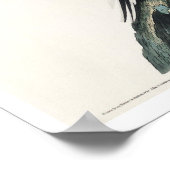 Pigeon passager par Audubon Poster (Coin)