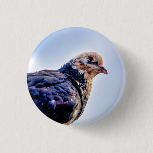 Pigeon Portrait Ronde Button 3,2 Cm