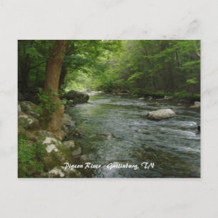 Pigeon River - Gatlinburg, TN Briefkaart
