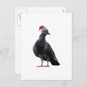 Pigeon Santa Hat Feestdagenkaart (Voorkant / Achterkant)