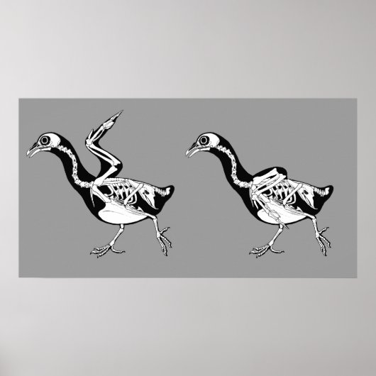 Pigeon Skeletals Print (Voorkant)