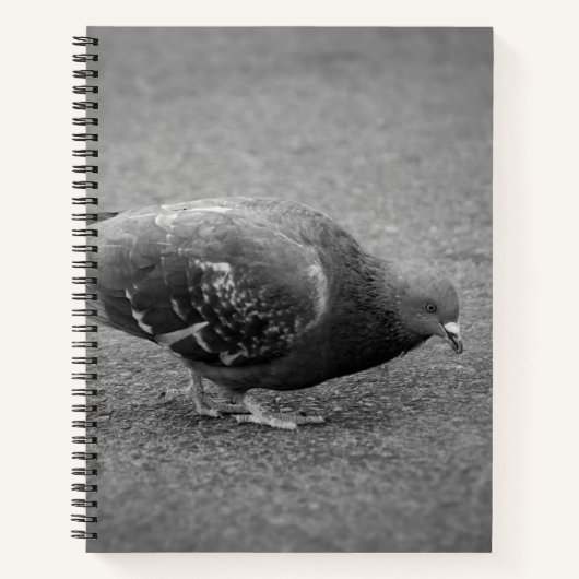 Pigeon Spiral Notitieboek (Voorkant)