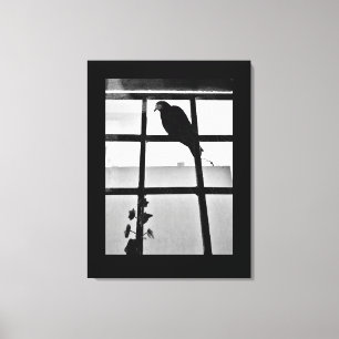 Pigeon Thoughts Canvas Afdruk