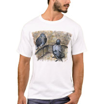 Pigeons #3