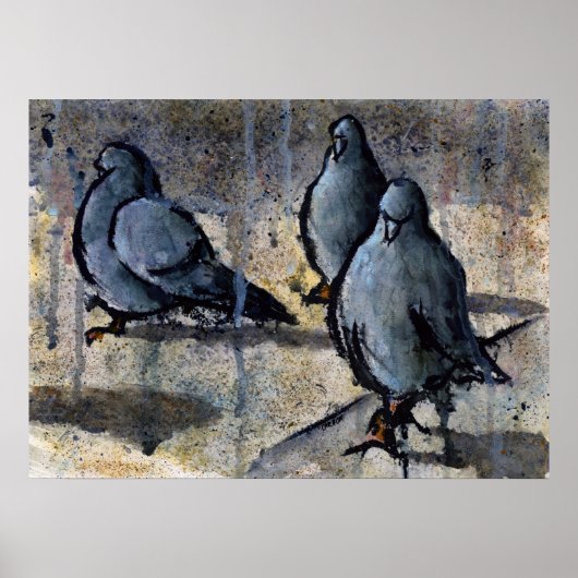 Pigeons #4 poster (Voorkant)