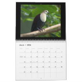 Pigeons & Doves 2017 Kalender (Mar 2026)
