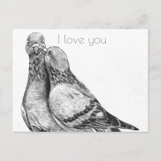 Pigeon's Embrace Briefkaart (Voorkant)