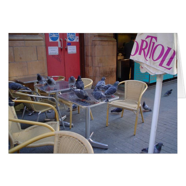 Pigeons in Lunch (Voorkant Horizontaal)