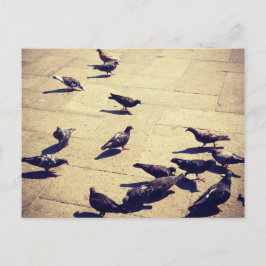 Pigeons in Venetië Briefkaart