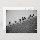 Pigeons op een dak briefkaart (Voorkant / Achterkant)