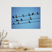 Pigeons op een Powerline Poster (Keuken)
