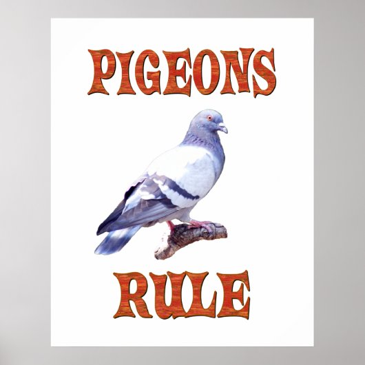 Pigeons Rule Poster (Voorkant)