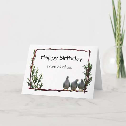 Pigeons sur la carte d'anniversaire de Twig (Devant)
