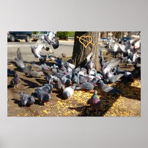Pigeons verzamelen rond bomen met hart poster