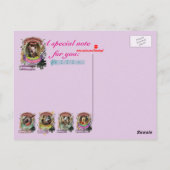 Piggienini Funny Pig Animal Composer Paganini Briefkaart (Achterkant)