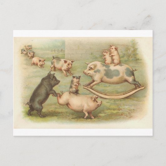 Piggies en jeu Carte postale Vintage (Devant)