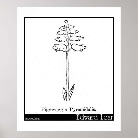Piggiwiggia Pyramidalis. Poster (Voorkant)