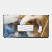 Piggy (Clavier et souris)