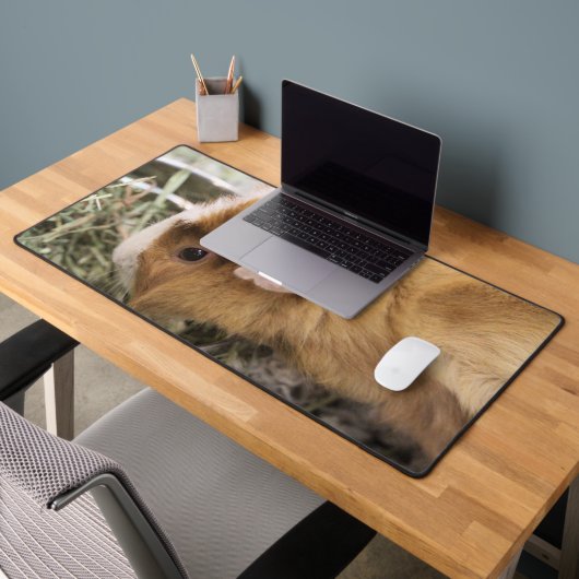 Piggy (Bureau 2)