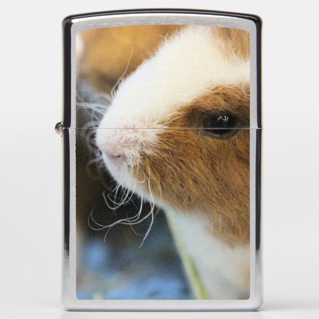 Piggy (Voorkant)