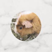 Piggy Confetti (Kleine voorkant)