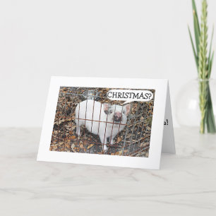 PIGGY = GEEN KERST TOT ONDER DE MISTLETOE MET JOU! FEESTDAGEN KAART