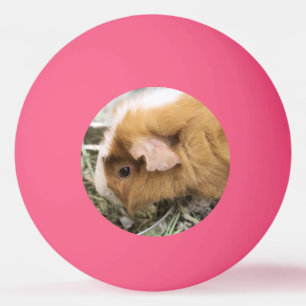 Piggy Golf Pet Clip Pingpongballen