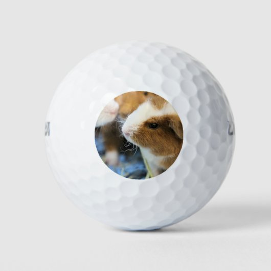 Piggy Golfballen (Voorkant)
