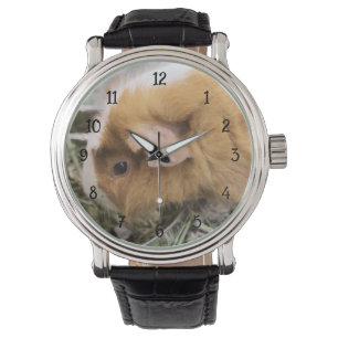 Piggy Horloge