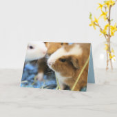 Piggy Kaart (Gele Bloem)