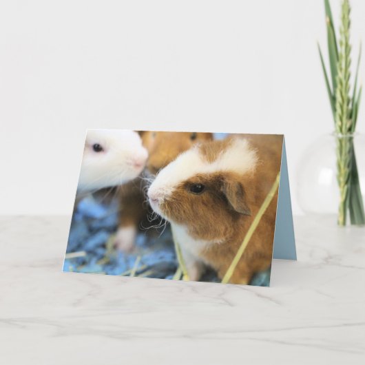 Piggy Kaart (Voorkant)