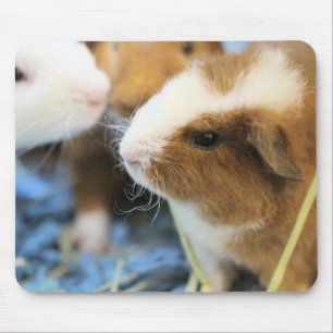 Piggy Muismat