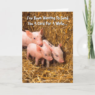 Piggy Pigs Piglet Thinking of You Card Kaart