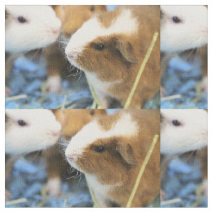 Piggy Stof