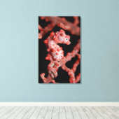 Pigmy Seahorse in Zee Fan Canvas Afdruk (Insitu (Houten vloer))